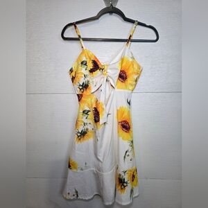 Zara Multicolor Floral Dress